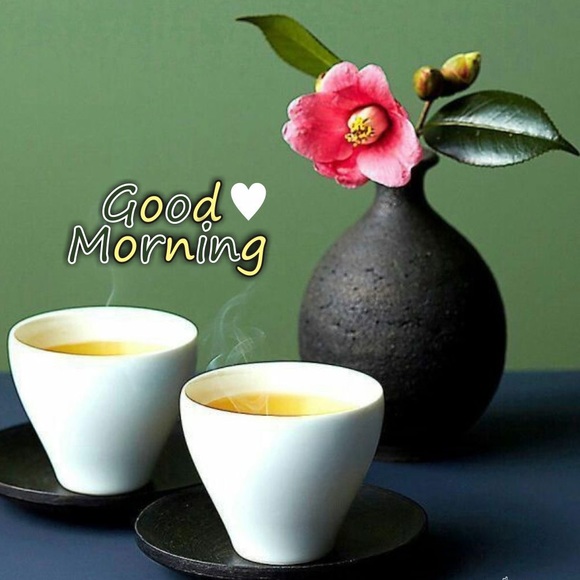 Make reasonable offer - Picture 4 of 15